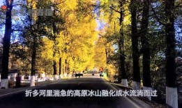 娱乐吃瓜鱼塘,吃瓜鱼塘里的那些事儿